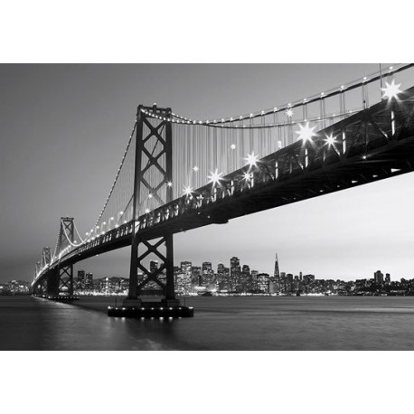 FOTOTAPET SAN FRANCISCO SKYLINE  134