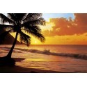 FOTOTAPET PACIFIC SUNSET 218