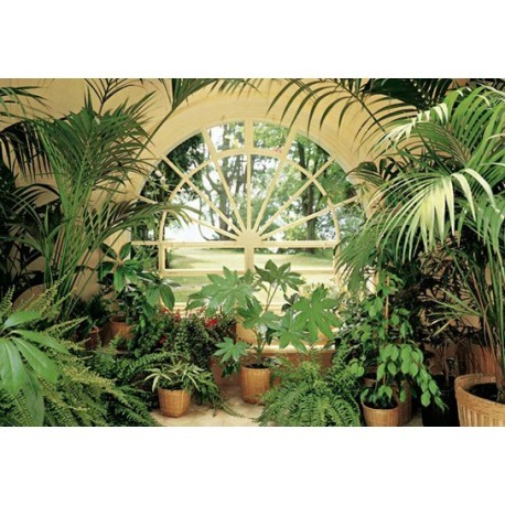 FOTOTAPET WINTERGARDEN 231