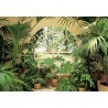 FOTOTAPET WINTERGARDEN 231