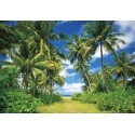 FOTOTAPET ISLAND IN THE SUN 273