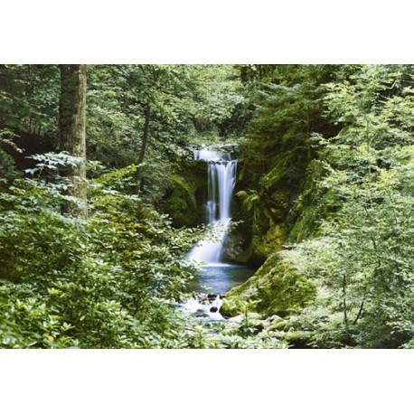 FOTOTAPET WATEFALL IN SPRING 279
