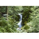 FOTOTAPET WATEFALL IN SPRING 279