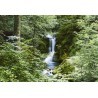 FOTOTAPET WATEFALL IN SPRING 279