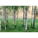FOTOTAPET NORDIC FOREST 290