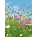 FOTOTAPET FLOWER MEADOW 367
