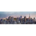 FOTOTAPET NEW YORK SYLINE 370