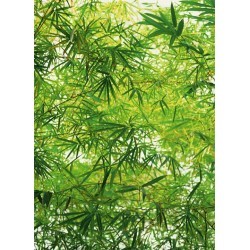 FOTOTAPET BAMBOO 372