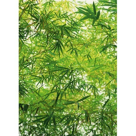 FOTOTAPET BAMBOO 372