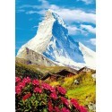FOTOTAPET MATTERHORN 373