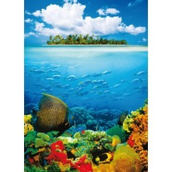 FOTOTAPET TEASURE ISLAND 374