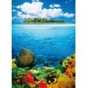 FOTOTAPET TEASURE ISLAND 374