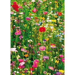 FOTOTAPET FLOWER FIELD 375
