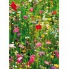 FOTOTAPET FLOWER FIELD 375