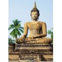 FOTOTAPET SUKHATHAI 378