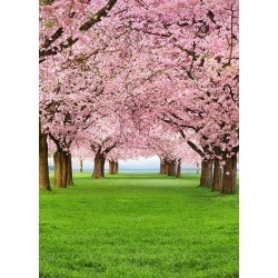 FOTOTAPET CHERRY TREES 385