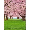 FOTOTAPET CHERRY TREES 385
