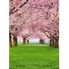 FOTOTAPET CHERRY TREES 385