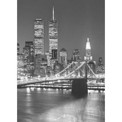 FOTOTAPET BROOKLYN BRIDGE 417