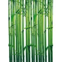 FOTOTAPET BAMBOO 421