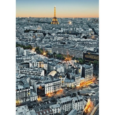 FOTOTAPET PARIS AERIAL VIEW  434