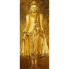 FOTOTAPET STANDING BUDDHA 512