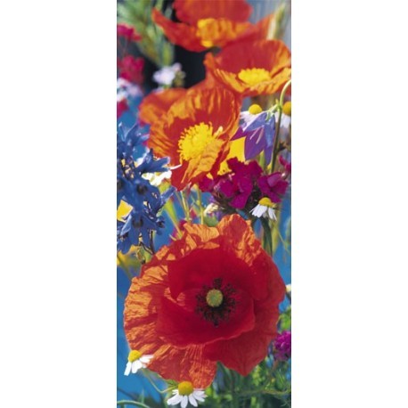 FOTOTAPET RED POPPIES 515