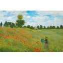 POSTER CHAMPS DE COQUELICOTS A ARGENT 677