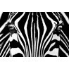 POSTER BLACK & WHITE  684