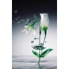POSTER CRYSTAL FLOWERS  673