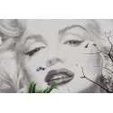 POSTER MARILYN A CANNES  674