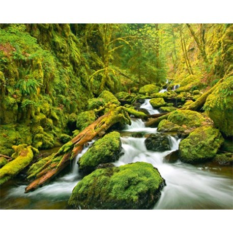 POSTER GREEN CANYON CASCADES  909