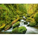 POSTER GREEN CANYON CASCADES  909