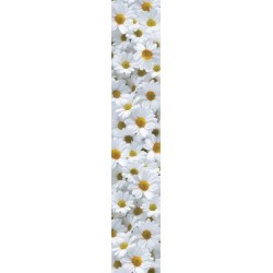 SAMOLEPLJIV POSTER DAISY...