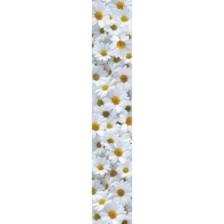 SAMOLEPLJIV POSTER DAISY MEADOW  74520