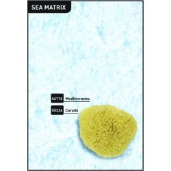 SUNDJER SEA MATRIX B55226